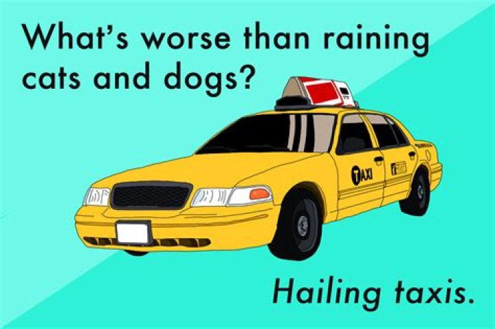 40 Car Puns That Will Fuel Your Laughter Thought Catalog