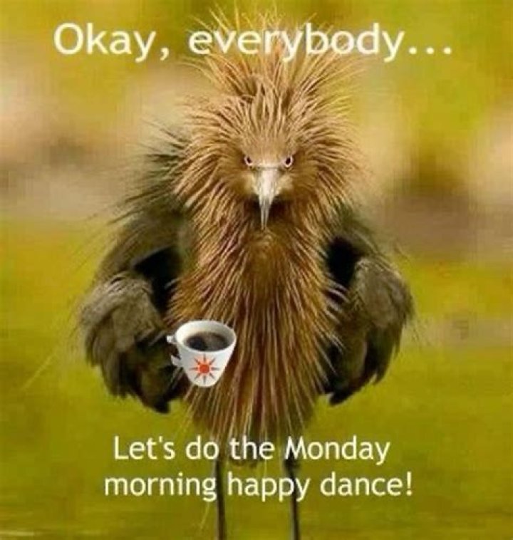 Happy Monday r/funny