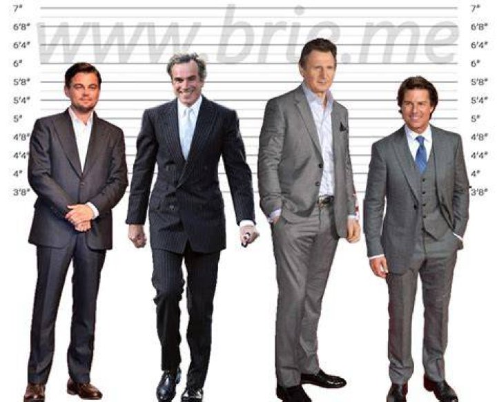 Liam Neeson Height Brie