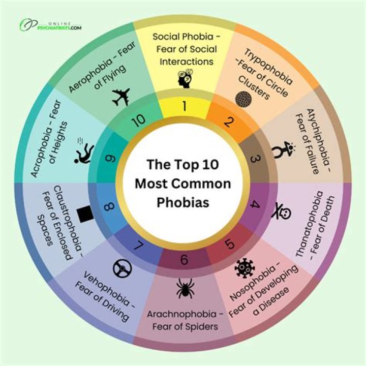 The 10 Most Common Types of Clutter