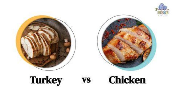 Turkey vs Chicken Which One Is Healthier for You? ChiroThin Weight