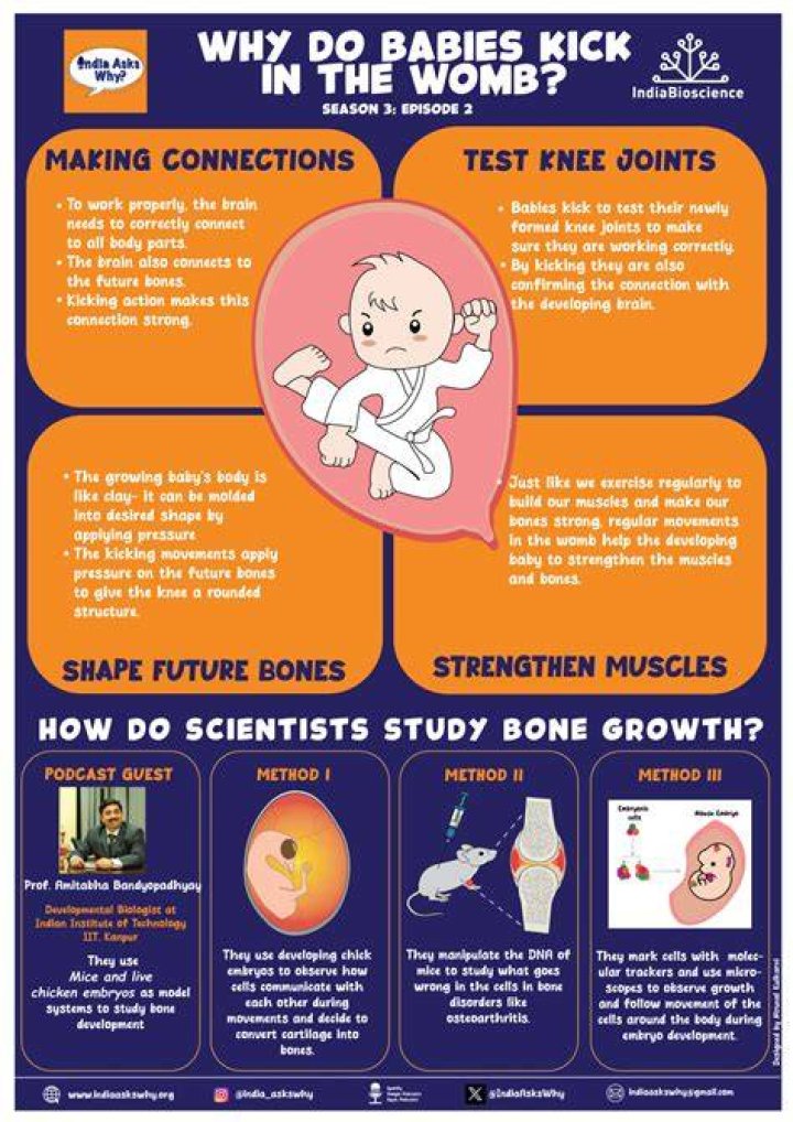 Why Do Babies Kick in the Womb? Live Science